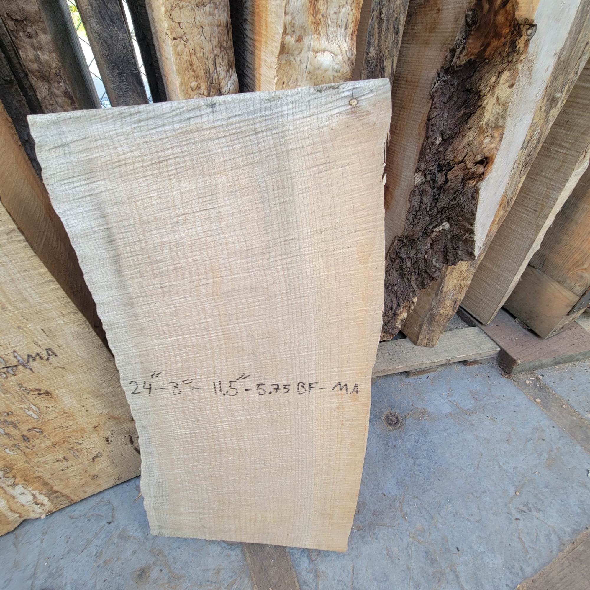 Big Leaf Maple